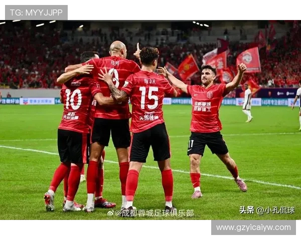 成都足球队在城市联赛积分榜上以89分稳居第一名展现强大实力