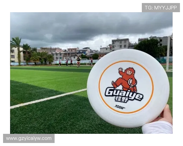 深圳飞盘队荣登全国飞盘战术排行榜第五名展现强劲实力与团队合作精神