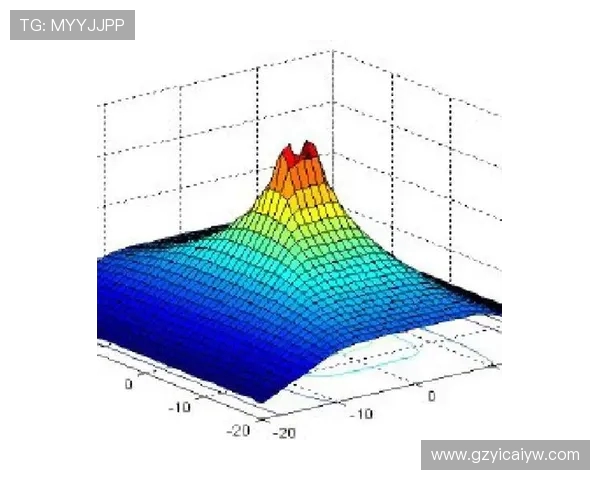 重庆乒乓球队灵活性表现的数据分析与战术优化探讨