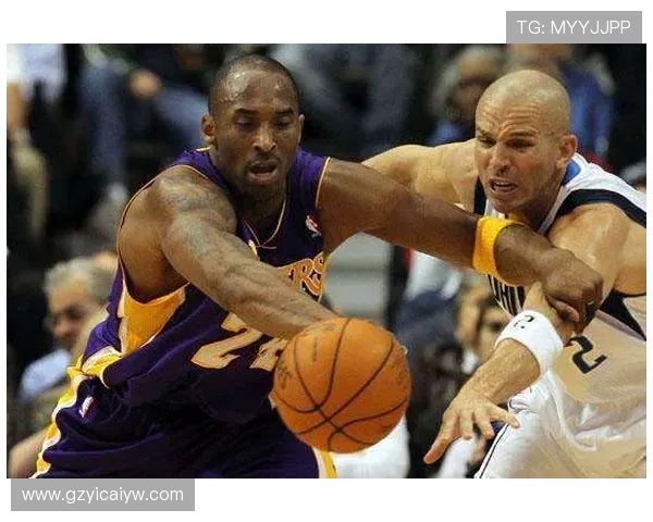 2003年小牛队与湖人队的经典对决回顾与战术分析