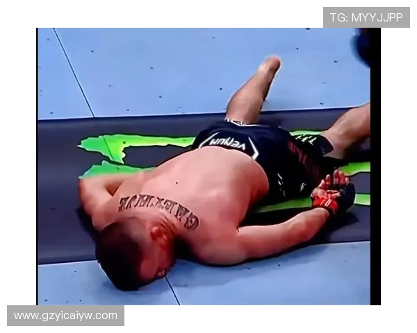 UFC盖奇对决小鹰精彩直播全程回顾与赛后分析 UFC盖奇对决小鹰精彩直播全程回顾与赛后分析