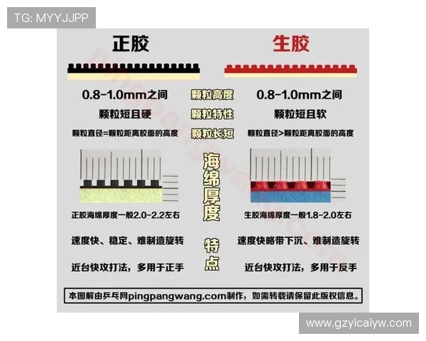 杭州乒乓球队配合策略深度解析与其他球队的对比研究